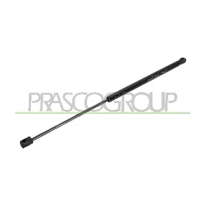 VG0239055 PRASCO