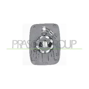 FT9007513 PRASCO