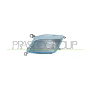 DS0134113 PRASCO