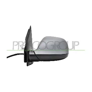 VG9217224 PRASCO
