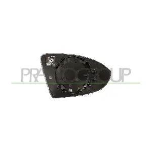 VG4007504 PRASCO