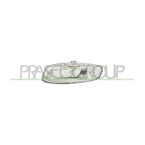 PG3207415 PRASCO