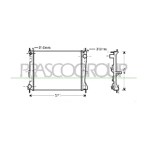 DS011R010 PRASCO