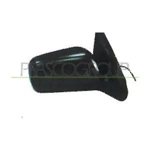 DS4227313 PRASCO