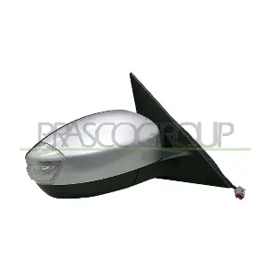 PRASCO FD0797313P