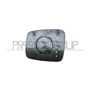 VG9137513 PRASCO