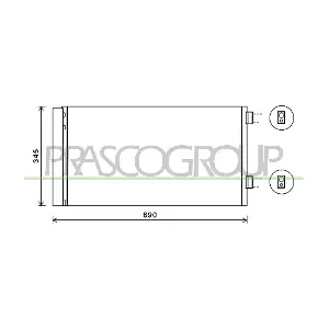 MN308C003 PRASCO