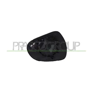 PG3207524 PRASCO