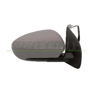 DS7107323P PRASCO