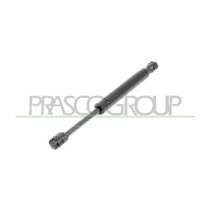 AA0909065 PRASCO