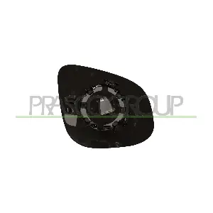 RN9217504 PRASCO