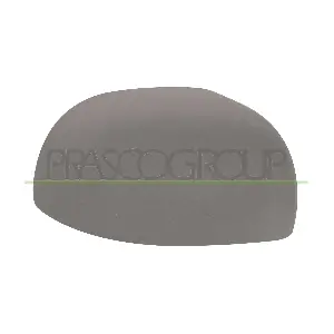 FT1237413 PRASCO