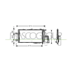 PRASCO OP031C005