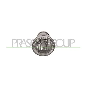 CI3204413 PRASCO