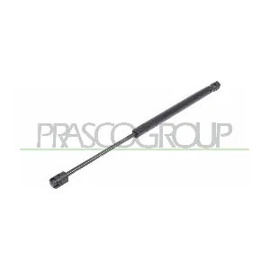 FT4209095 PRASCO