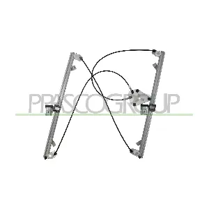 VG917W012 PRASCO