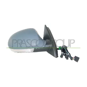 VG0547313 PRASCO