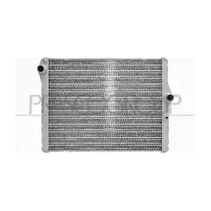 BM254R001 PRASCO