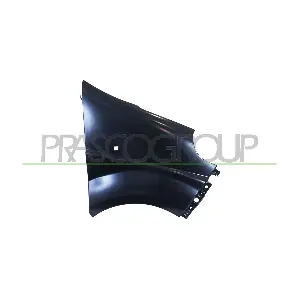 RN9323013 PRASCO