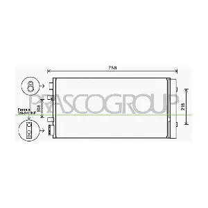 RN090C002 PRASCO