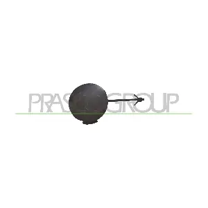 PG4201236 PRASCO