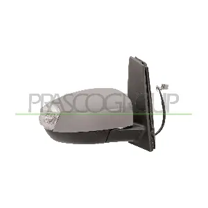 FD7197303 PRASCO