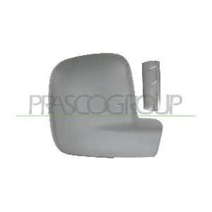 VG9047413 PRASCO