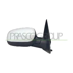 OP0307313P PRASCO