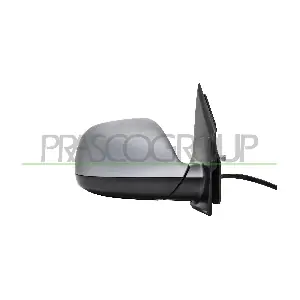 VG9217223 PRASCO