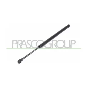 BM0249055 PRASCO