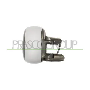 FT9087323 PRASCO