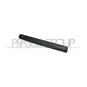 PG0591255 PRASCO