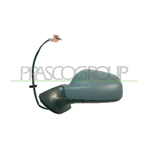 PG0617324 PRASCO