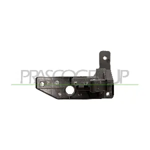 FT1378436 PRASCO