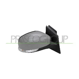 FD4287313 PRASCO