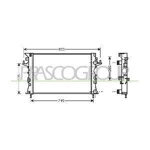 RN084R005 PRASCO