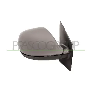 VG9197343 PRASCO