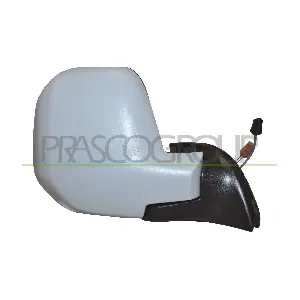 CI9187313 PRASCO