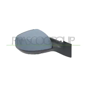 OP3057303P PRASCO