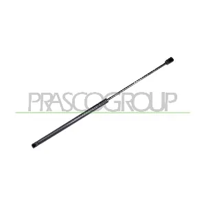 FD0509055 PRASCO