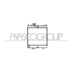 DS005R004 PRASCO