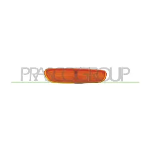 VV0284304 PRASCO