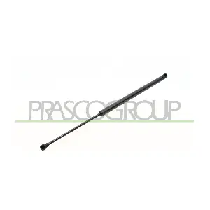 CI4249055 PRASCO