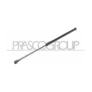 ST4229055 PRASCO