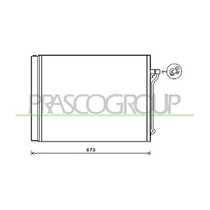 BM048C004 PRASCO