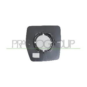 FT9217513 PRASCO