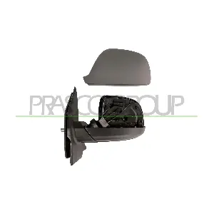 VG9197014 PRASCO