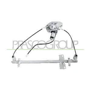 DS273W025 PRASCO