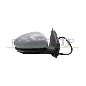 RN4307313 PRASCO