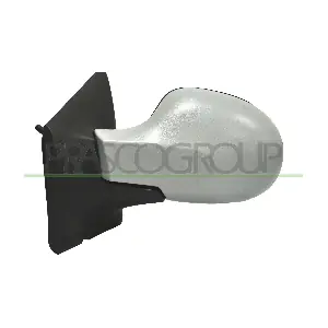 RN3067124P PRASCO